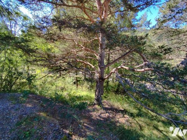 Vente Terrain à bâtir à Seyne 