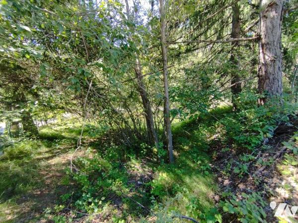 Vente Terrain à bâtir à Seyne 