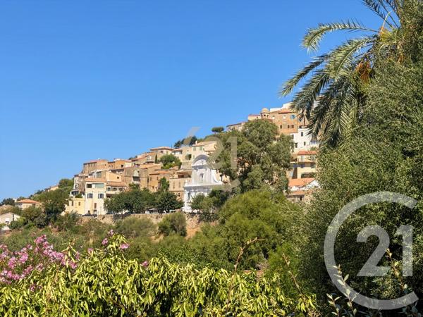 Maison à vendre  5 pièces - 171,72 m 2   LUMIO  - 202
