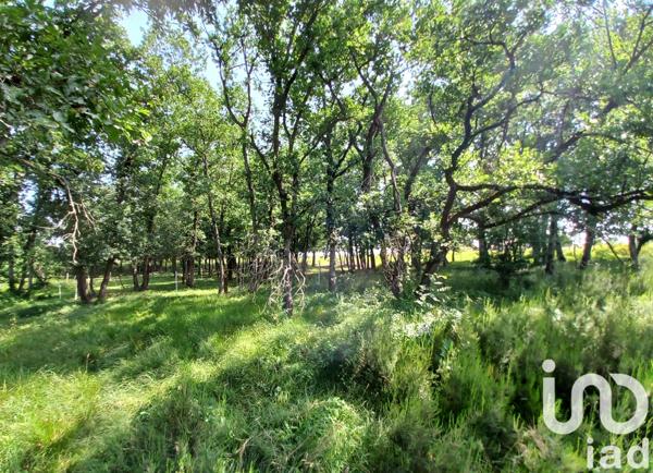 Maison à vendre 4 pièces 132 m² Auvillar