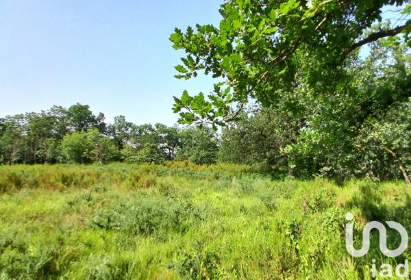 Maison à vendre 4 pièces 132 m² Auvillar