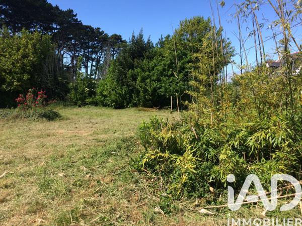 Terrain à vendre 1 030 m² Groix