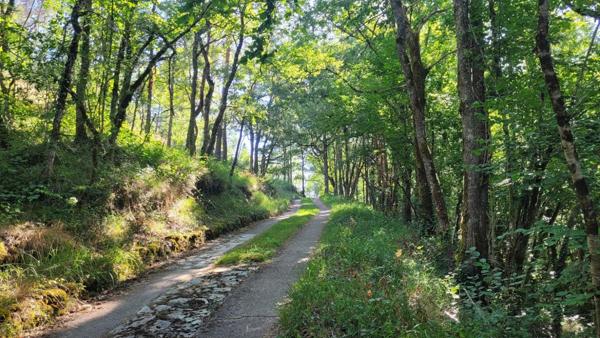 Entre Plazac et Rouffignac ! Maison au coeur de la forêt. 2 chambres. Possibilité 3 ch. Sous-sol. Terrain boisé: 12642 m2