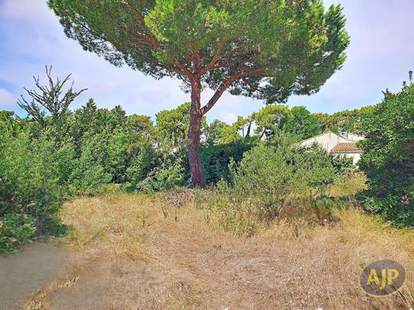 Vente maison Rivedoux Plage : 811 200 € - AJP Immobilier Luçon