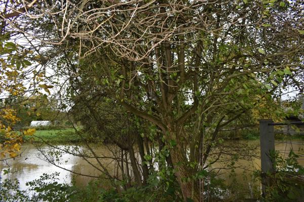 Maison de caractère 15 pièces SARREWERDEN (67)