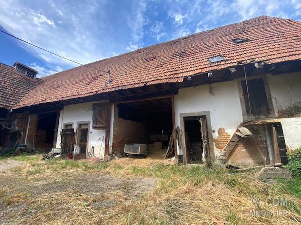 3%.COM Grand corps de ferme à rénover  Hochfelden (67270)