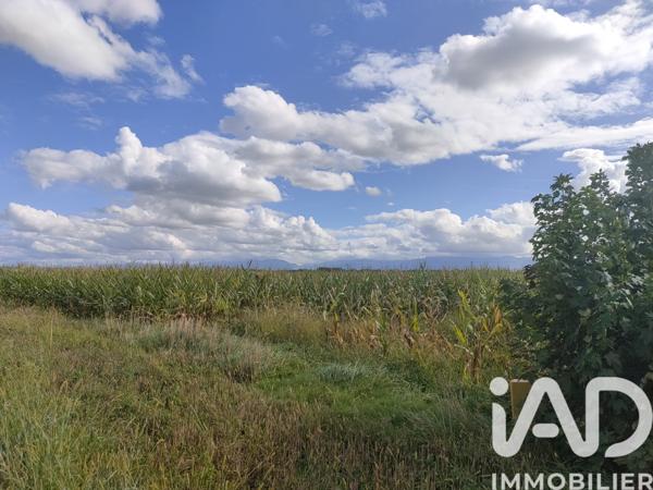 Terrain à vendre 3 756 m² Ibos