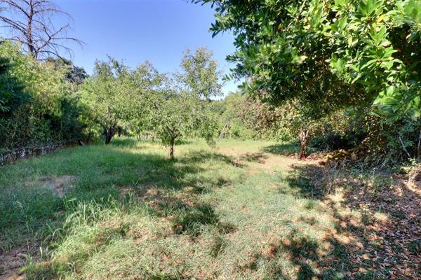 Terrain à vendre de 1327 m² à Savignac - Réf 1327