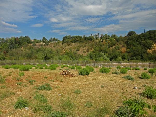 Dpt Pyrénées Orientales (66), à vendre PRADES Terrain constructible 391 m², 3 faces, libre constructeur