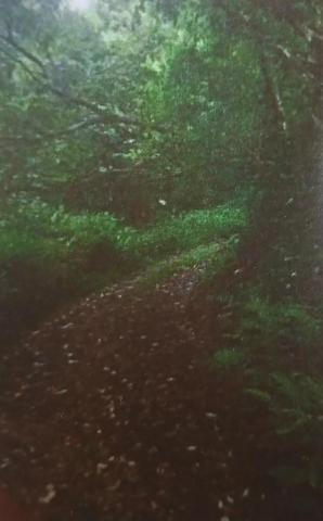 TERRAIN EN ZONE CONTRUCTIBLE ET TERRAIN EN ZONE AGRICOLE