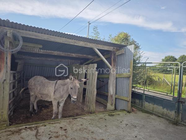 À Vendre – Propriété de 1,7 Hectare aux Portes du Perche

SITUATION 
À seulement quelques minutes de la gare de L’Aigle, offrant une liaison directe avec Paris en 1h30, cette propriété bénéficie d’un emplacement privilégié. Elle se situe à proximité immédiate d’un bourg dynamique avec commerces (boulangerie, épicerie, tabac, restaurant) et aux abords de la forêt domaniale de l’Étoile du Perche, dans un environnement naturel préservé.

LA MAISON D'HABITATION
Maison traditionnelle, soignée et parfaitement entretenue, d’une surface habitable d’environ 110 m², comprenant :
Une pièce de vie chaleureuse avec salon / salle à manger, équipée d’un insert fonctionnel
Une cuisine aménagée et entièrement équipée
Trois chambres spacieuses et lumineuses
Une salle de bain
Deux WC indépendants

DEPENDANCES
Double garage offrant stationnement et espace de stockage sécurisé
Bûcher
Atelier
Plusieurs abris adaptés à l’accueil d’animaux (chevaux, moutons, etc.)

EXTERIEURS
Terrain de 1,7 hectare entièrement clos, idéal pour les amoureux de nature ou un projet agricole
Plus d’un hectare de pâture, parfaitement adapté à l’élevage
Mare naturelle, apportant charme et biodiversité
Environnement verdoyant avec arbres fruitiers et massifs fleuris