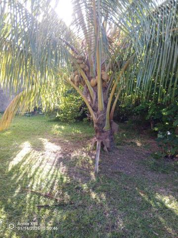 Maison  4 pièce(s) 206 m2  a basse-pointe