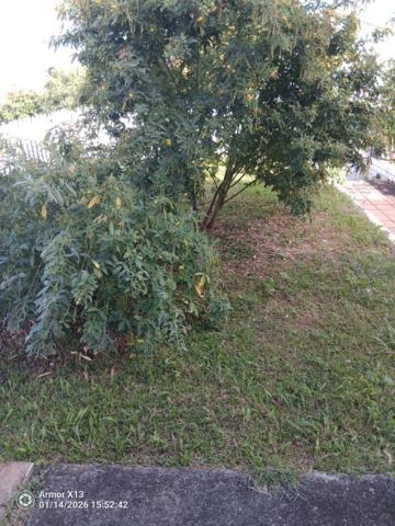 Maison  4 pièce(s) 206 m2  a basse-pointe