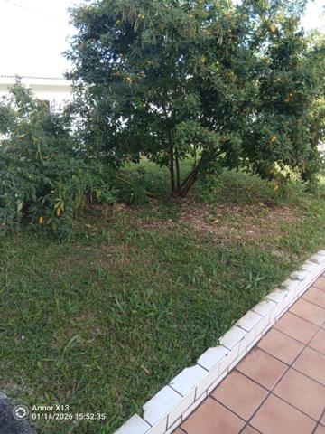 Maison  4 pièce(s) 206 m2  a basse-pointe