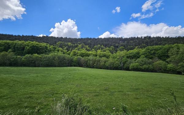 Terrain à vendre    Lanuéjols