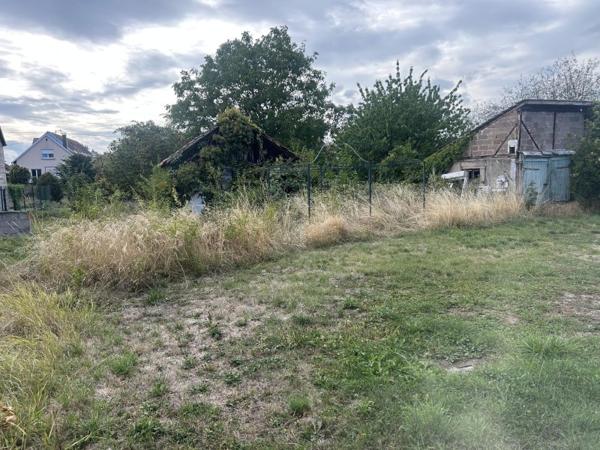 Vente / Maison T6 à Marckolsheim (67390)
