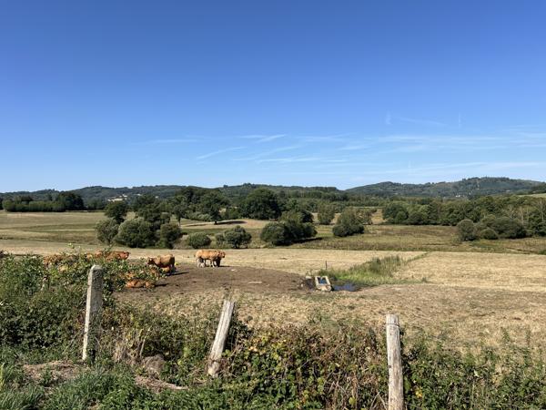 Maison à vendre à Sardent (23250) - Creuse