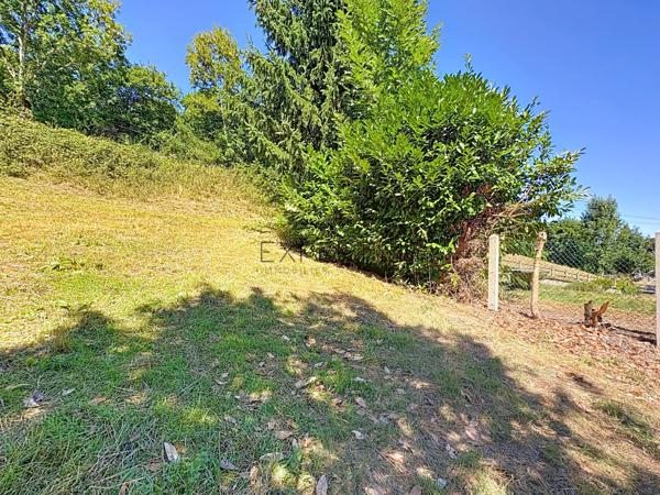 Ségur (12290) Aveyron, Ségur. Maison de caractère 4 chambres sur un beau terrain arboré de 3000m2.