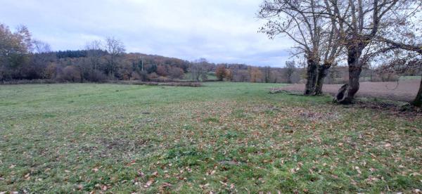 VENTE MAISON ET GRANGE CAMPAGNE 20MN MONTLUCON Marcillat en combraille