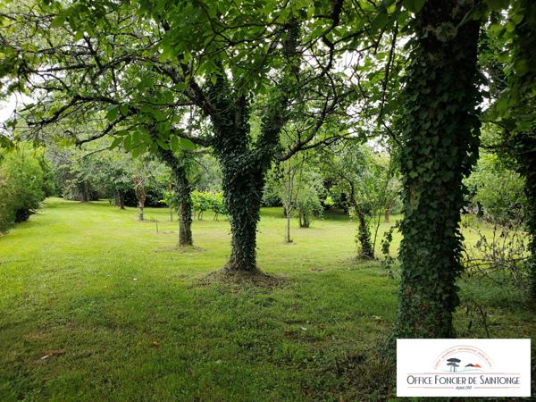 Batiment et garages sur terrain constructible