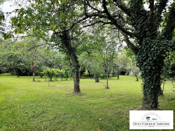 Batiment et garages sur terrain constructible