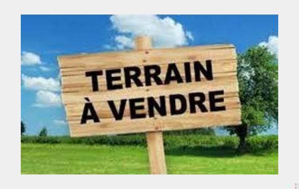 Vente Terrain Olonne-sur-mer   