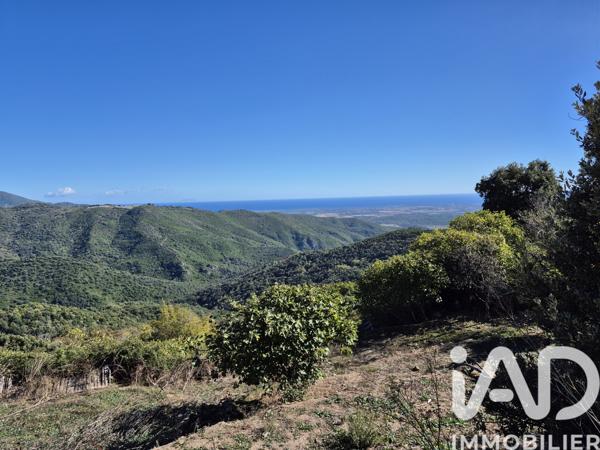 Maison à vendre 9 pièces 124 m² Pancheraccia