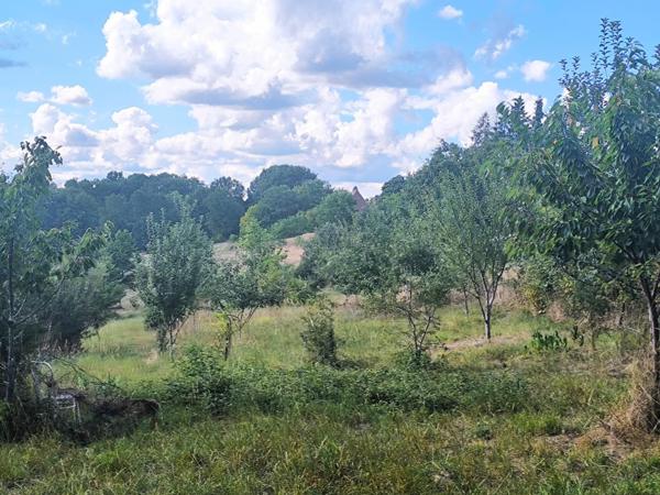 Havre de paix au coeur de la nature.