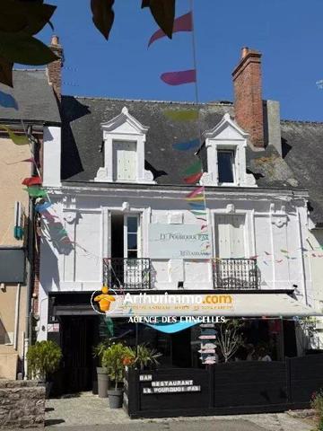 Vente Fonds de commerce 3 pièces 255 m2 à Châteaubriant