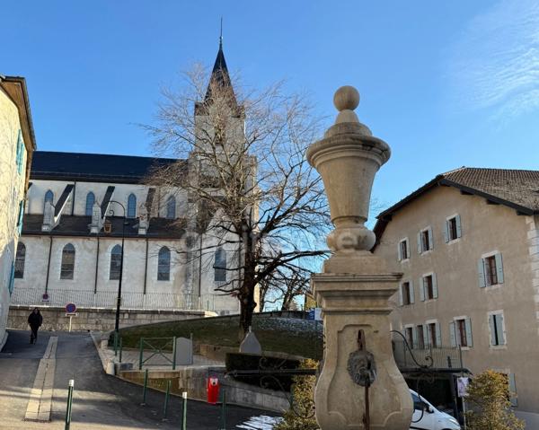 Maison à vendre 10 pièces GEX (01)