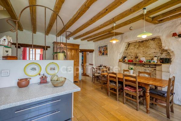 Maison à vendre 10 pièces GEX (01)