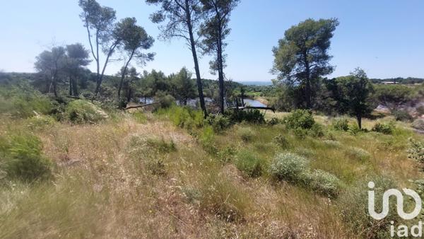 Terrain à vendre 4 860 m² Générac