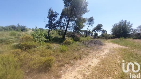 Terrain à vendre 4 860 m² Générac