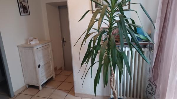 À vendre - Maison de campagne, 7 pièces situé à Villedômer (37110)