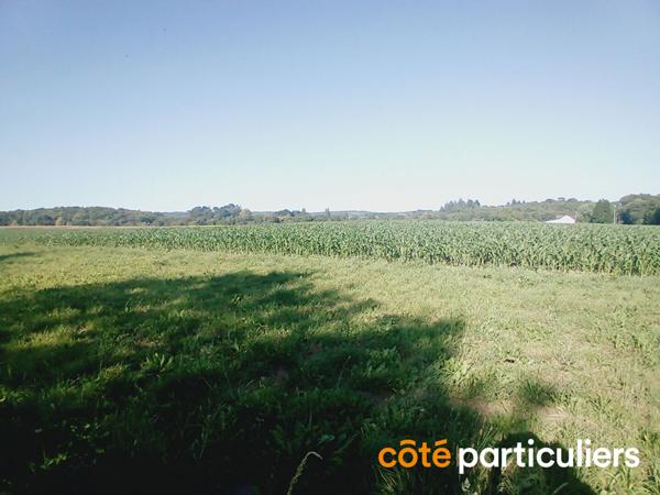 Vente Terrain445 m² - LANGUIDIC (56440)