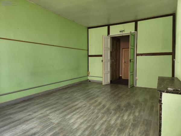 Local mixte (Pro/Hab) à vendre à Bar-sur-Aube dans l'Aube (10200), ref : 10379/579   
Calme