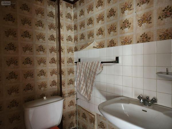 Local mixte (Pro/Hab) à vendre à Bar-sur-Aube dans l'Aube (10200), ref : 10379/579   
Calme