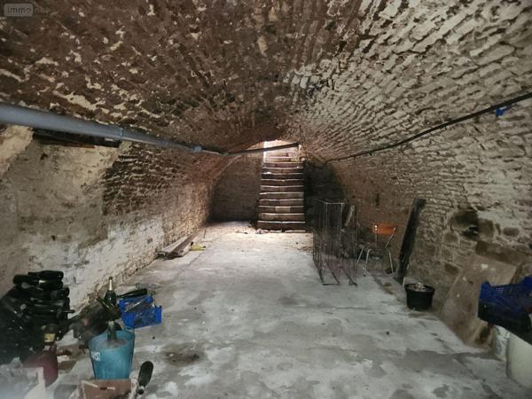 Local mixte (Pro/Hab) à vendre à Bar-sur-Aube dans l'Aube (10200), ref : 10379/579   
Calme