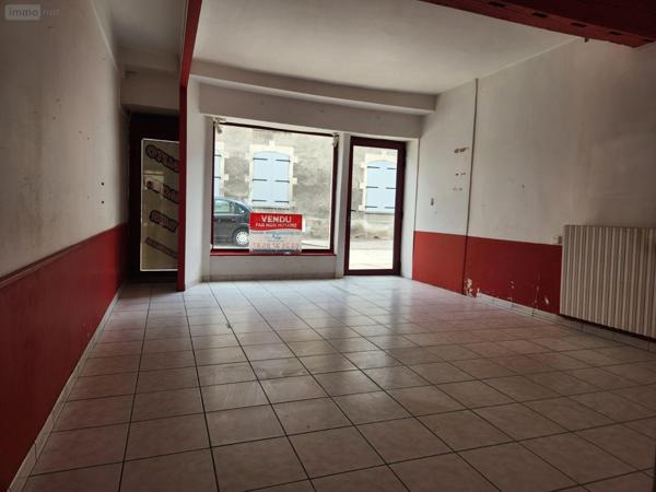 Local mixte (Pro/Hab) à vendre à Bar-sur-Aube dans l'Aube (10200), ref : 10379/579   
Calme