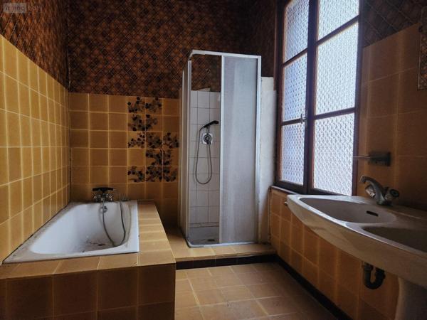 Local mixte (Pro/Hab) à vendre à Bar-sur-Aube dans l'Aube (10200), ref : 10379/579   
Calme