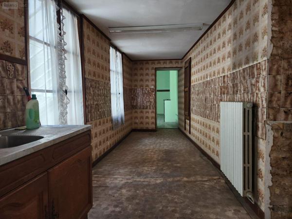 Local mixte (Pro/Hab) à vendre à Bar-sur-Aube dans l'Aube (10200), ref : 10379/579   
Calme