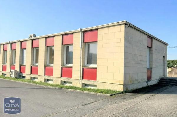 Local professionnel à louer 377m²