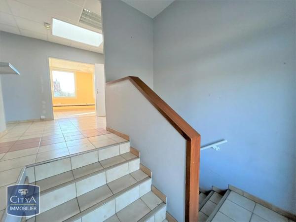 Local professionnel à louer 377m²