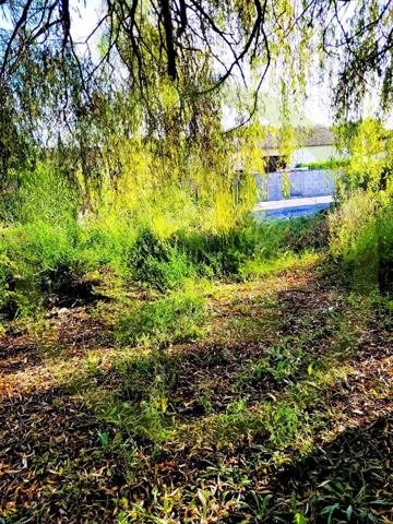 Maison à SAINT-THOMAS-DE-CONAC (17150)