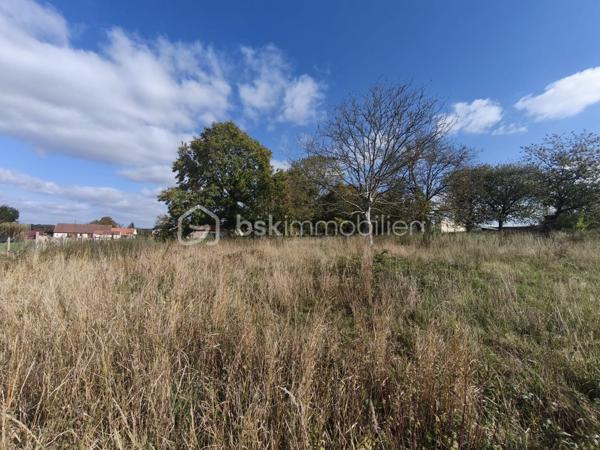 Terrain de 1 115 m²