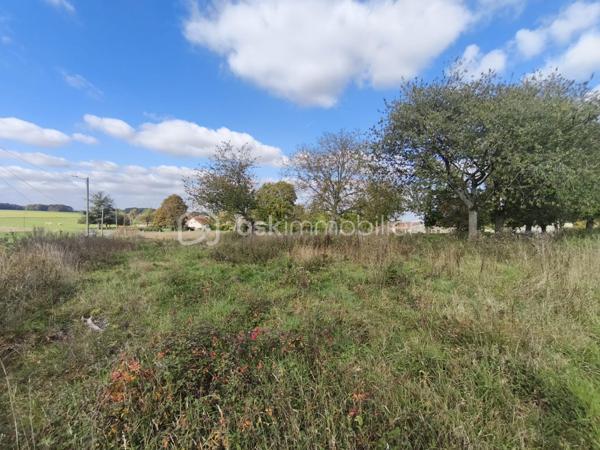 Terrain de 1 115 m²