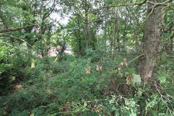 terrain a batir 780 m2 hors lotissement