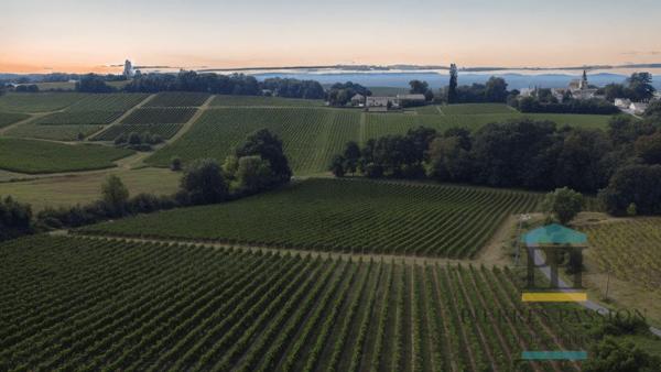 20 minutes de Bordeaux Girondine de 6 pièces avec terrain et dépendances