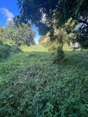 Maison T4 sur terrain de 2 877 m2