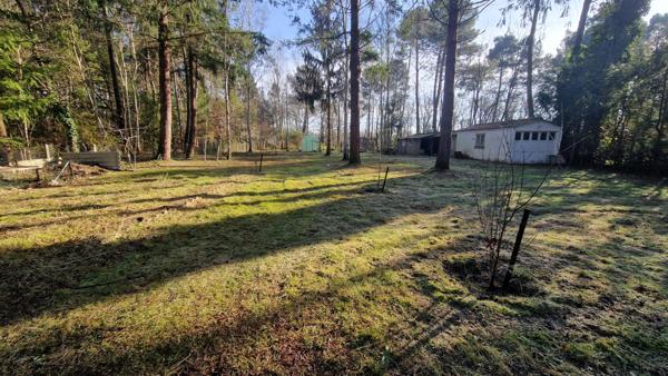 EXCLUSIVITÉ – Vente interactive à PRIX PROGRESSIF – dans la campagne de Guecelard